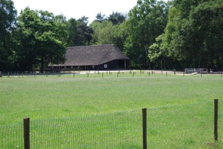 De schaapskudde op de Lemelerberg wordt door Landschap Overijssel gebruikt om de heide goed te beheren. Honderd jaar geleden was de Lemelerberg een uitgestrekt heideterrein. Maar door de vele schapen die er graasden, groeide er bijna niets meer. De schaapskudde verdween van de Lemelerberg toen de kunstmest kwam. Omdat er geen schapen meer graasden, groeide de Lemelerberg dicht met bos. Om te voorkomen dat het helemaal dichtgroeit, loopt er sinds 1979 weer een kudde van ongeveer 250 Veluwse heideschapen rond in het gebied